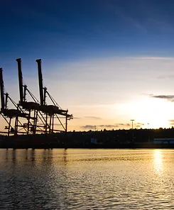 Three cranes in the Port of Seattle